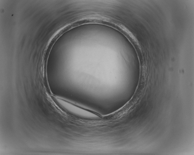 X0000083620791200703051608