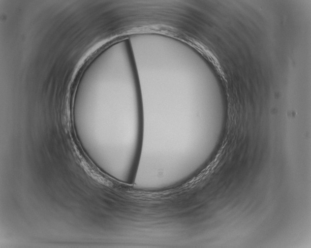 X0000083620792200703051608