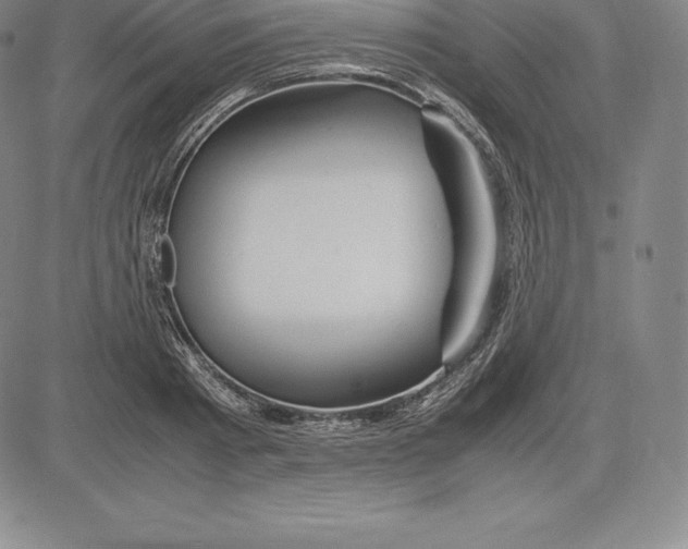 X0000083620793200703051608