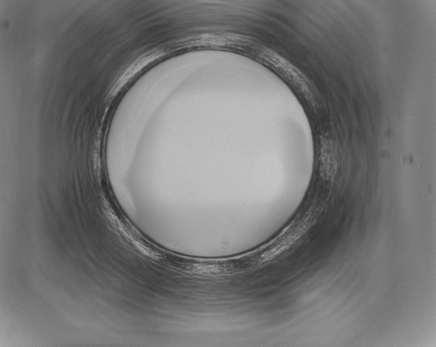 X0000083620794200703051608