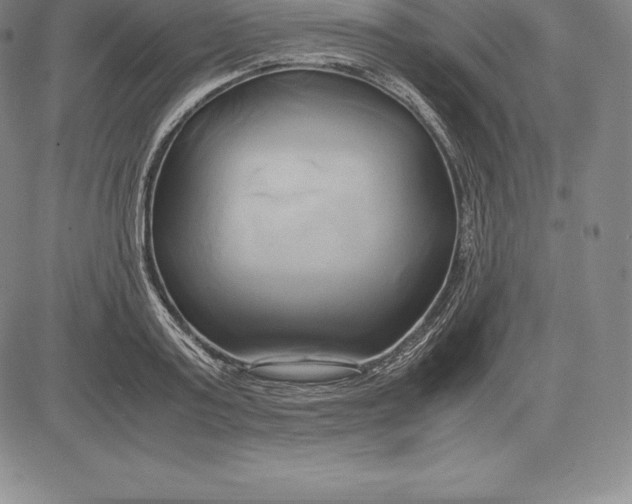 X0000083620795200703051608