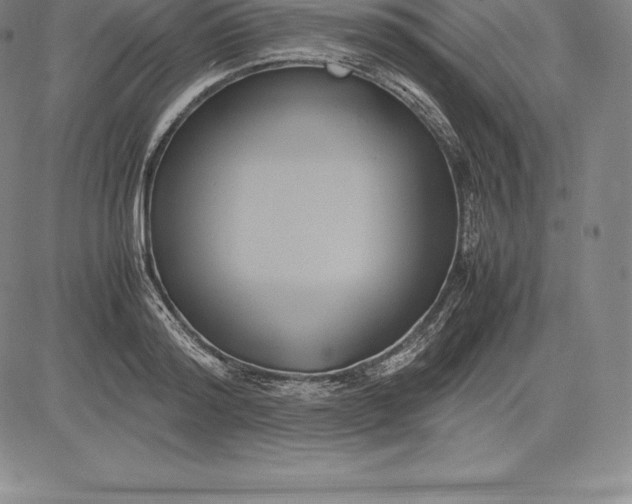 X0000083620796200703051608