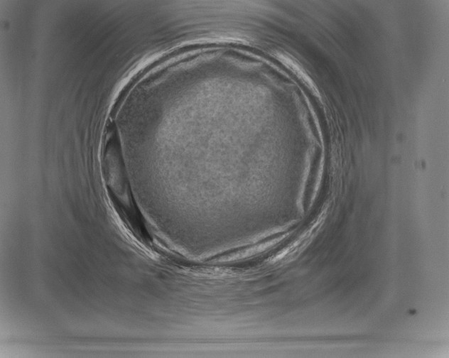 X0000083620797200703051608