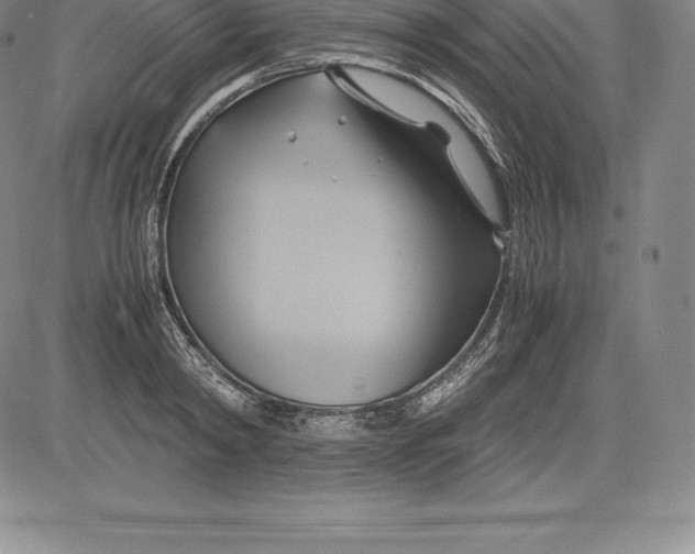 X0000083620798200703051608