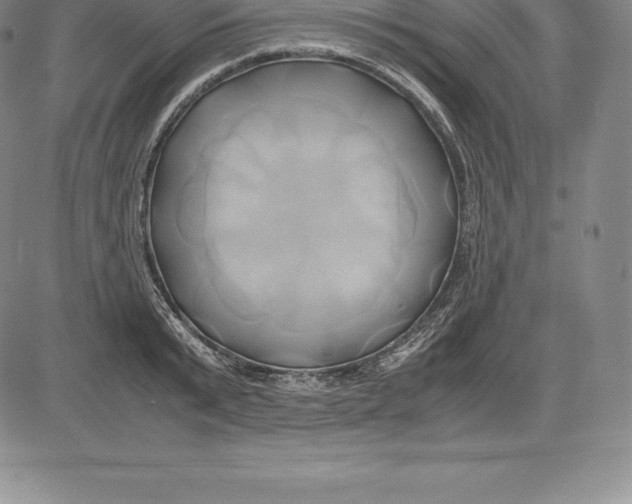 X0000083620799200703051608