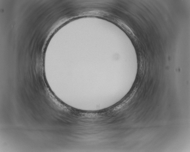 X0000083620800200703051608