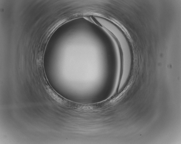 X0000083620801200703051608