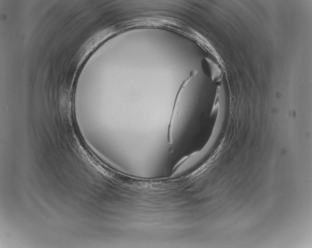 X0000083620802200703051608