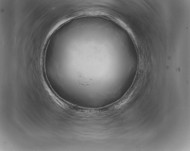 X0000083620803200703051608