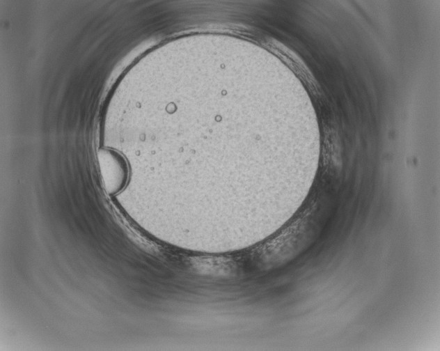 X0000083620804200703051608