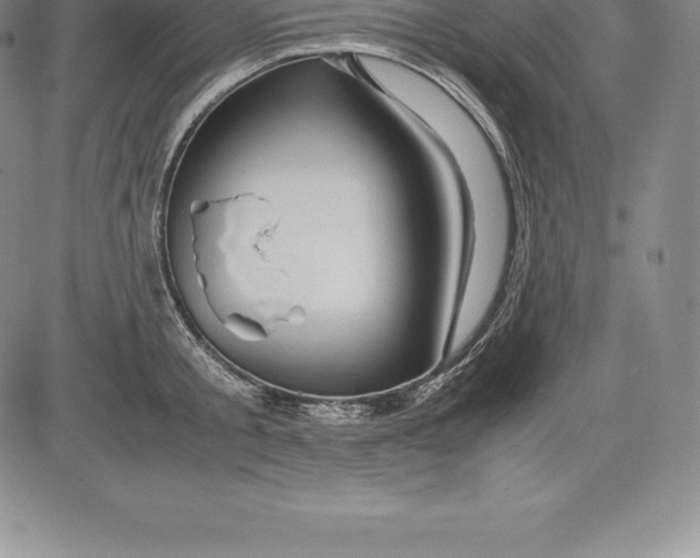 X0000083620805200703051608