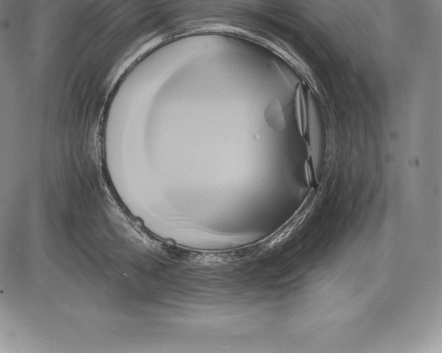 X0000083620806200703051608