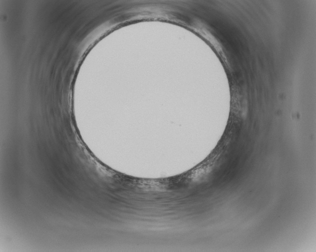 X0000083620807200703051608