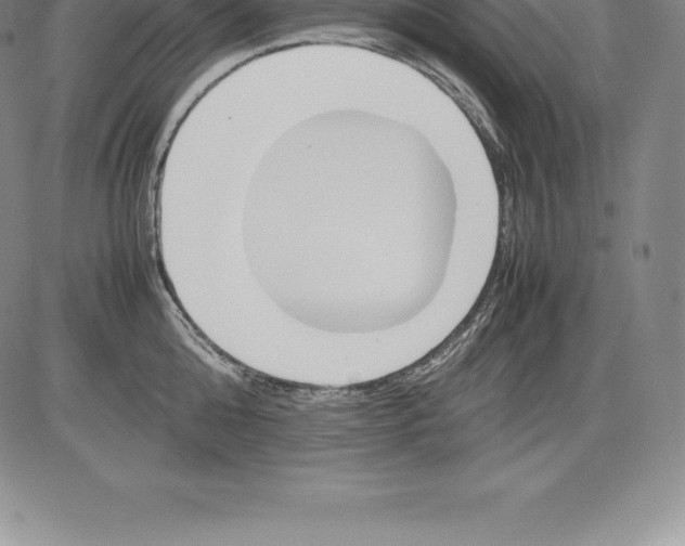 X0000083620808200703051608