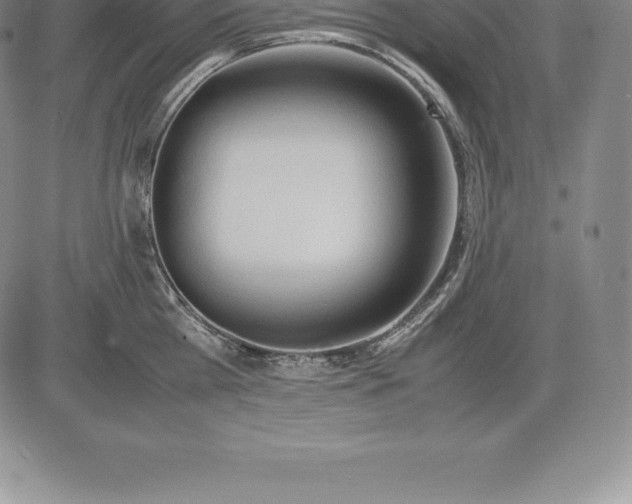 X0000083620809200703051608