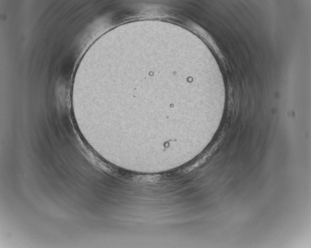 X0000083620810200703051608