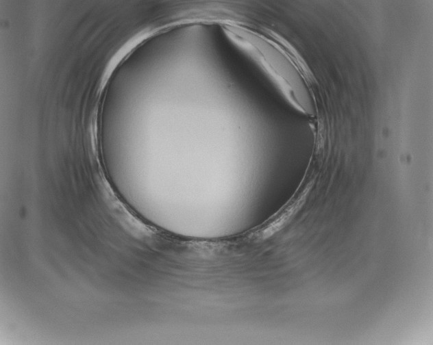 X0000083620812200703051608