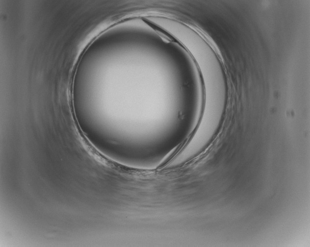 X0000083620813200703051608