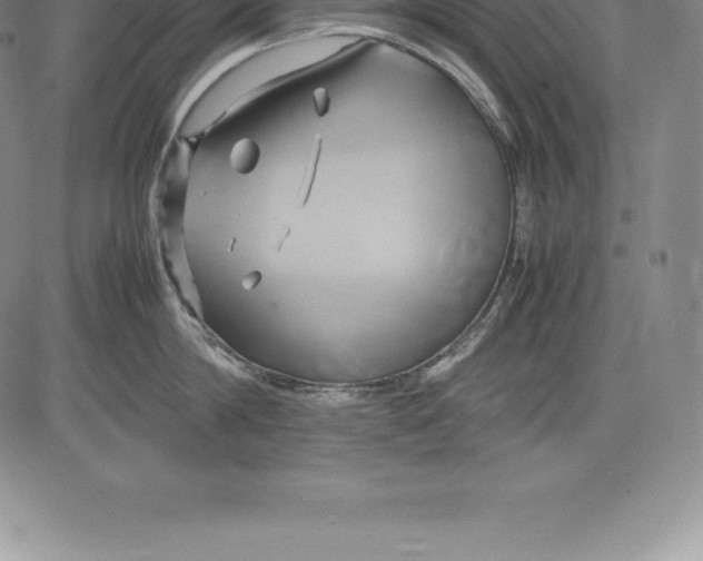 X0000083620814200703051608