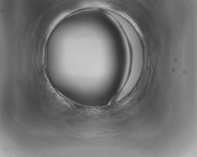 X0000083620815200703051607