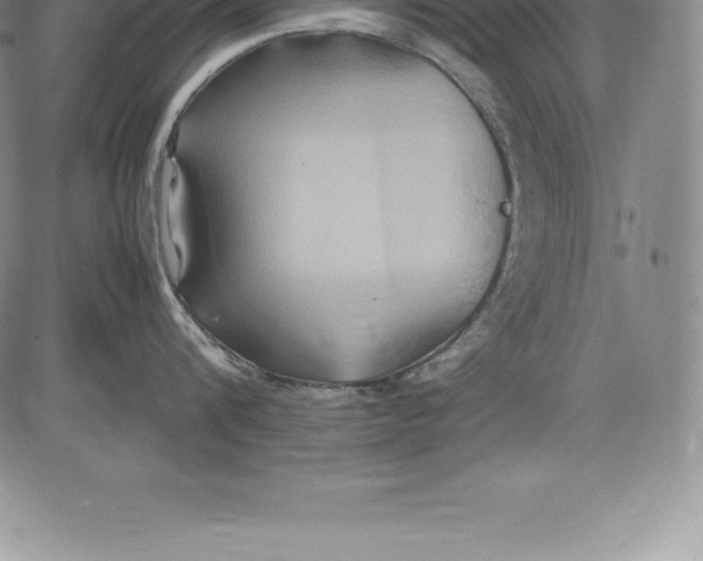 X0000083620816200703051607