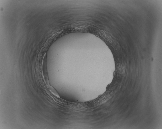 X0000083620817200703051607