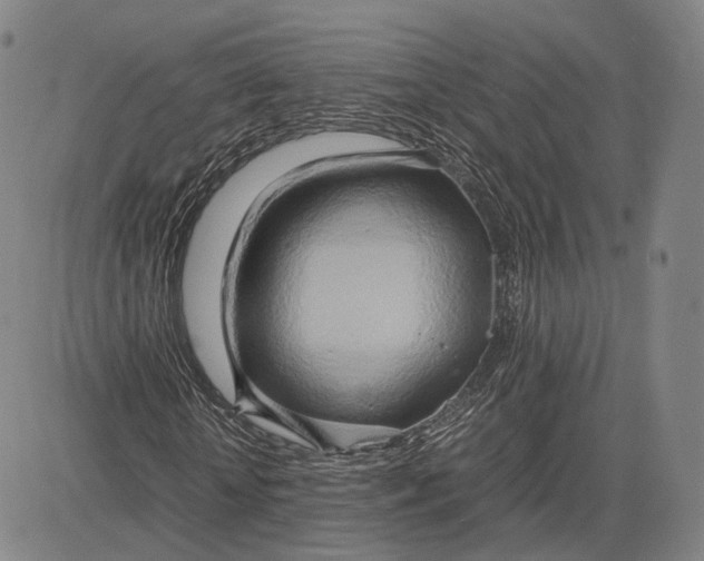 X0000083620818200703051607