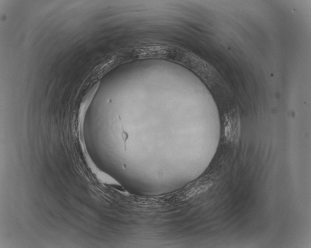 X0000083620819200703051607