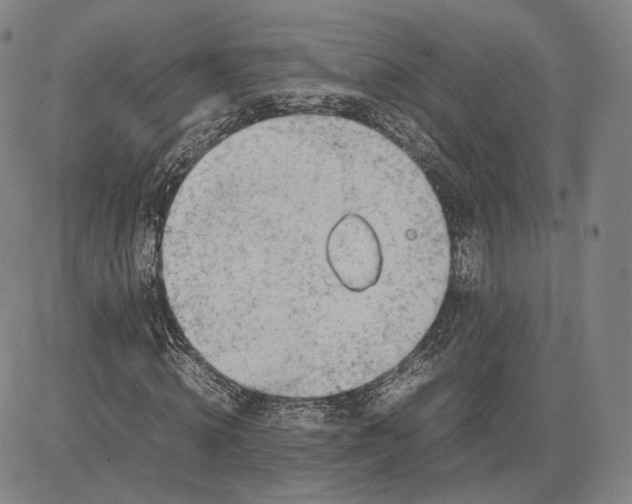 X0000083620820200703051607