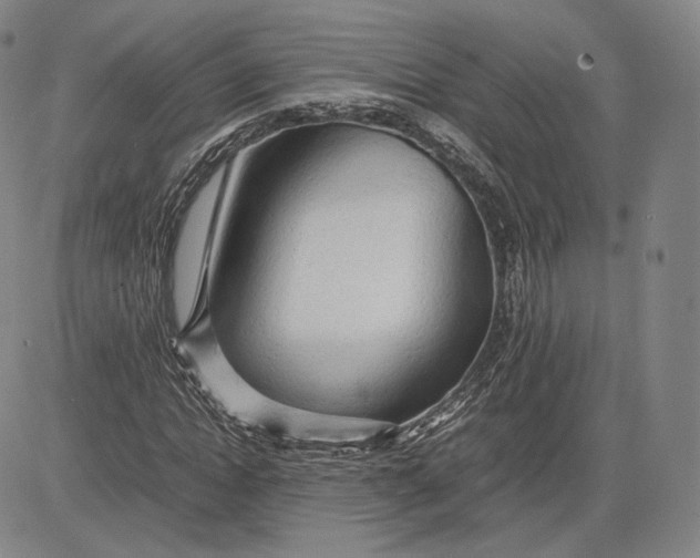 X0000083620822200703051607