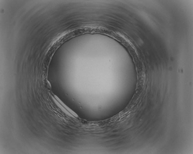 X0000083620823200703051607