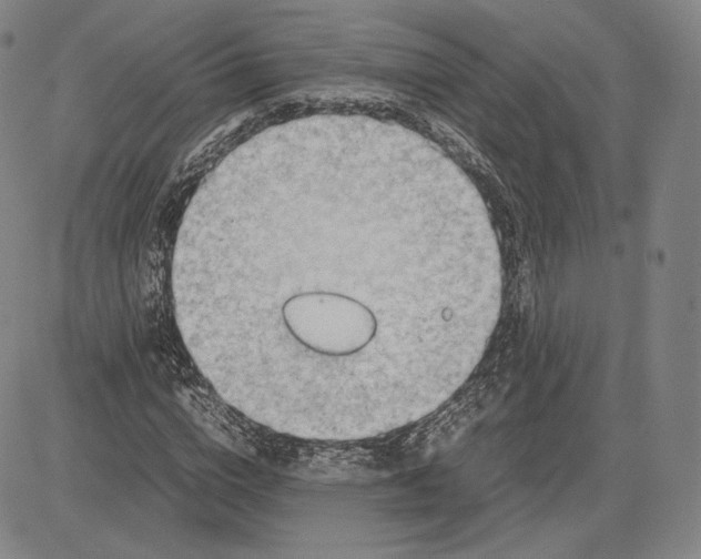 X0000083620824200703051607