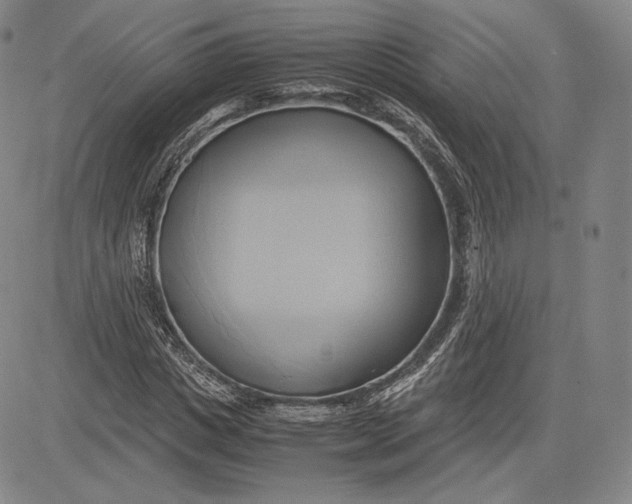 X0000083620825200703051607