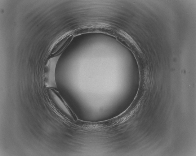 X0000083620826200703051607