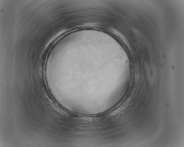 X0000083620827200703051607