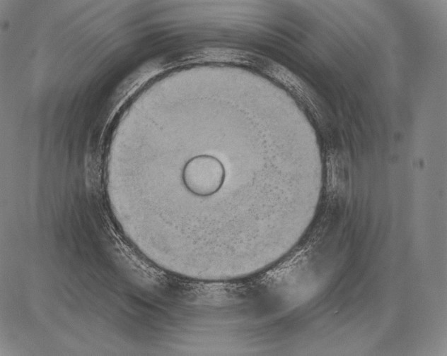 X0000083620828200703051607