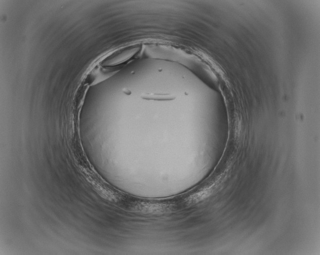 X0000083620829200703051607