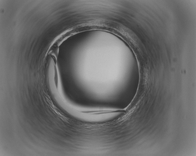 X0000083620830200703051607