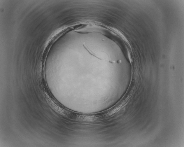 X0000083620831200703051607