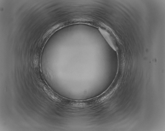 X0000083620833200703051607