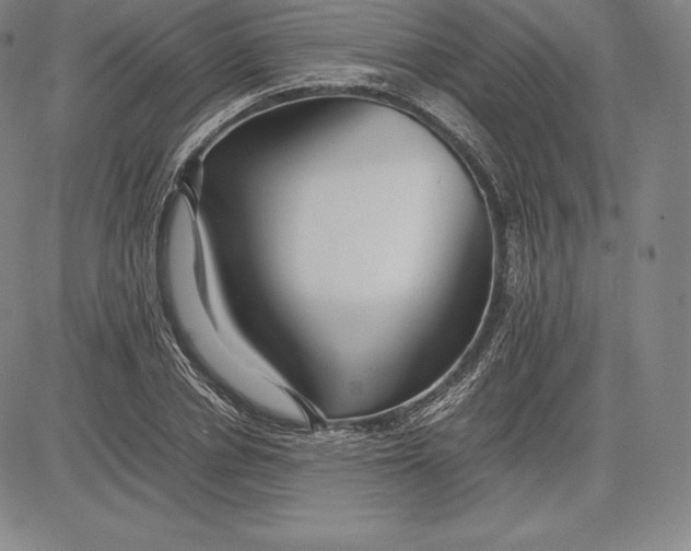 X0000083620834200703051607