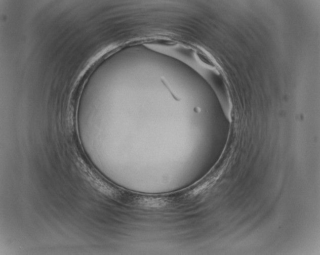 X0000083620835200703051607