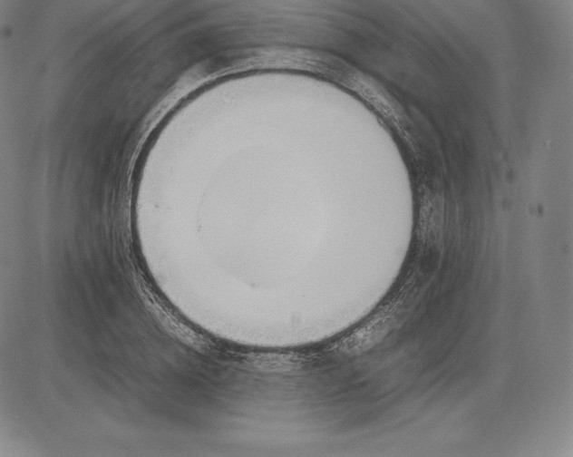 X0000083620836200703051607