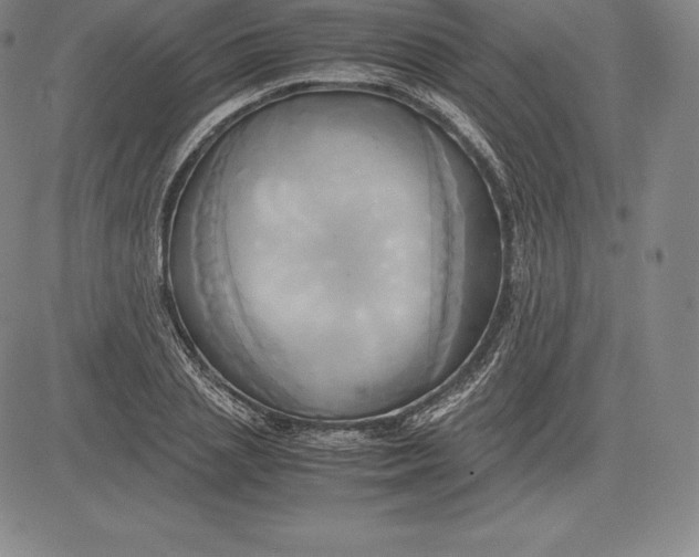 X0000083620837200703051607