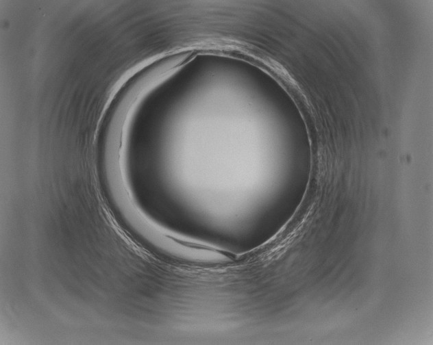 X0000083620838200703051607