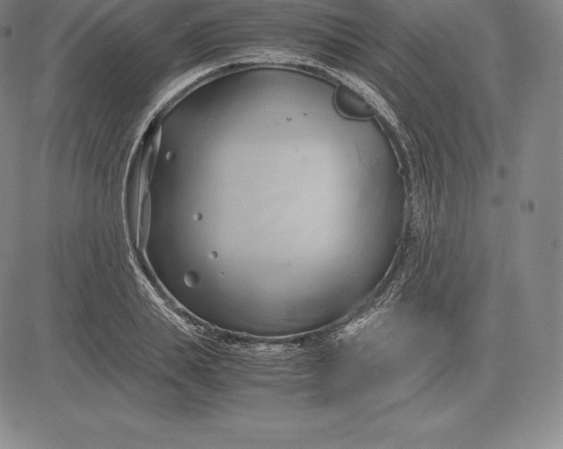 X0000083620839200703051607