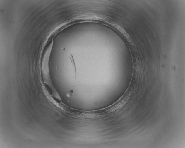 X0000083620840200703051607