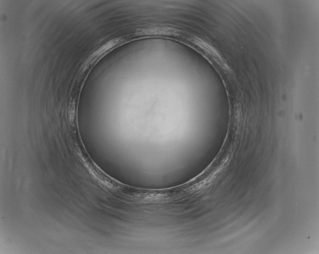 X0000083620841200703051607