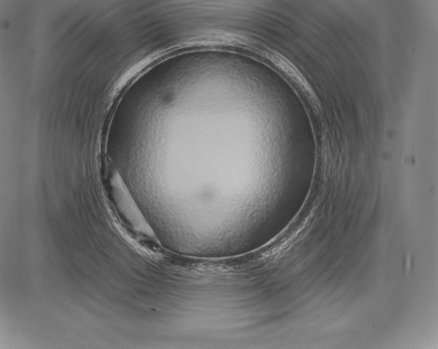 X0000083620842200703051607