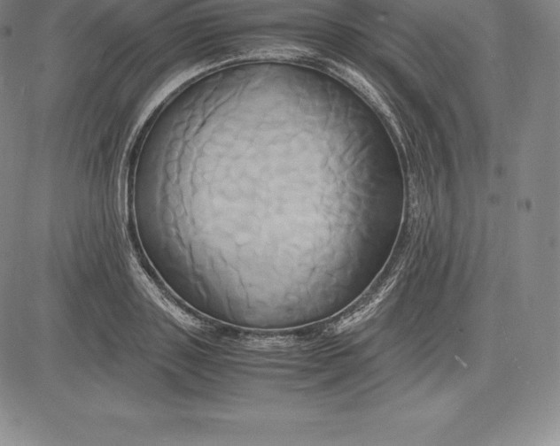 X0000083620843200703051607